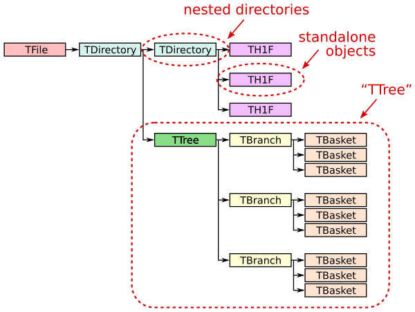 terminology